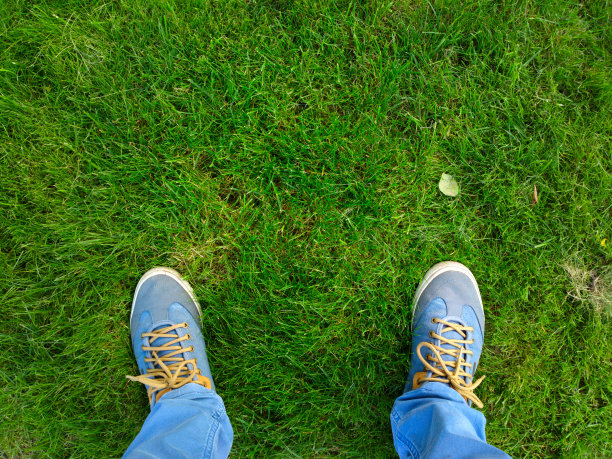 脚踩绿草。图片下载