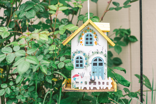 后院发现图片下载