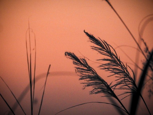 日落的场景图片下载