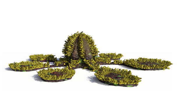 外星植物，外星世界的植物孤立在白色的背景图片下载