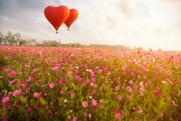 热气球飞过宇宙花图片下载