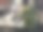 阳光海岸的绿色海葵图片下载