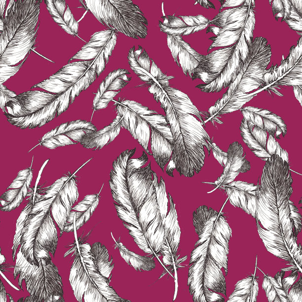 白色和黑色素描插图的鸟羽毛在时尚的颜色背景。无缝模式图片下载