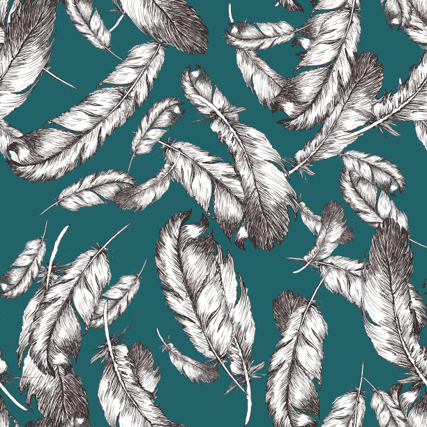 白色和黑色素描插图的鸟羽毛在时尚的颜色背景。无缝模式图片下载