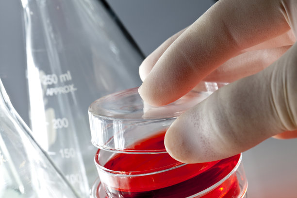 培养皿图片下载