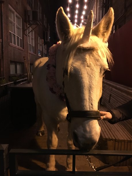 独角兽图片下载