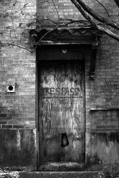 没有侵权图片下载