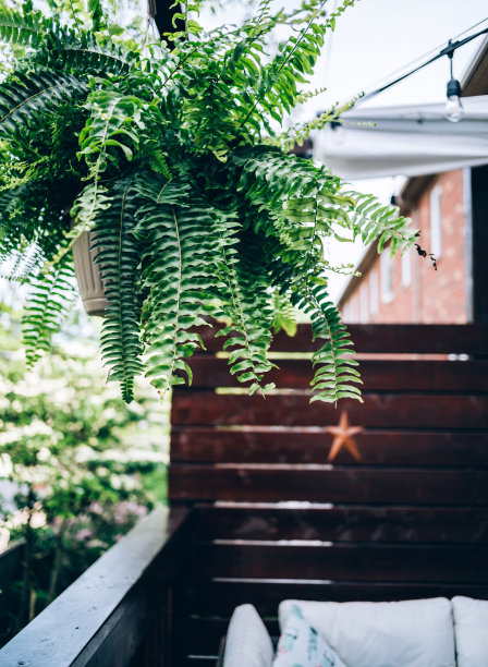 夏季户外露台图片下载