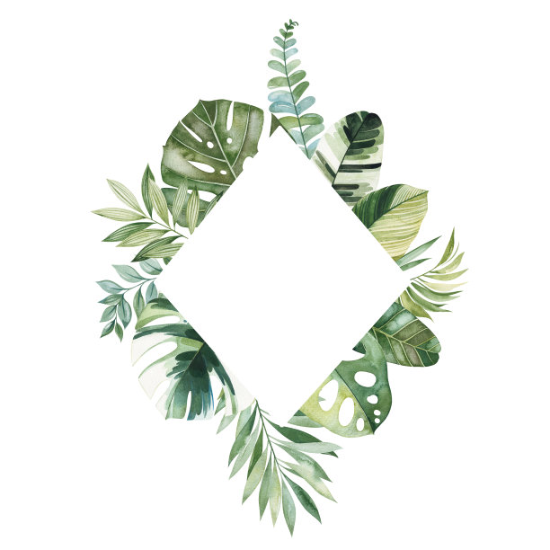 预先制作的框架边框有多种颜色的叶子，树枝，棕榈叶图片下载