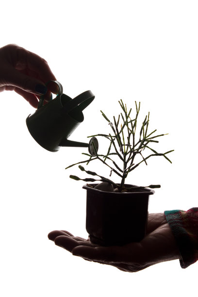 喷壶用手浇花-剪影概念图片下载
