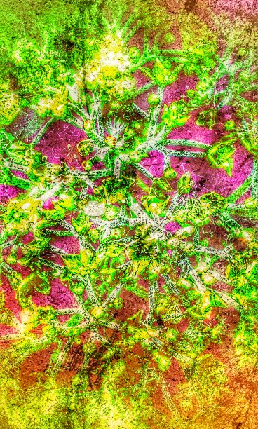 植物纹理的背景，从一棵树的绣球花和垃圾。紫红色，绿色和橙色效果。图片下载