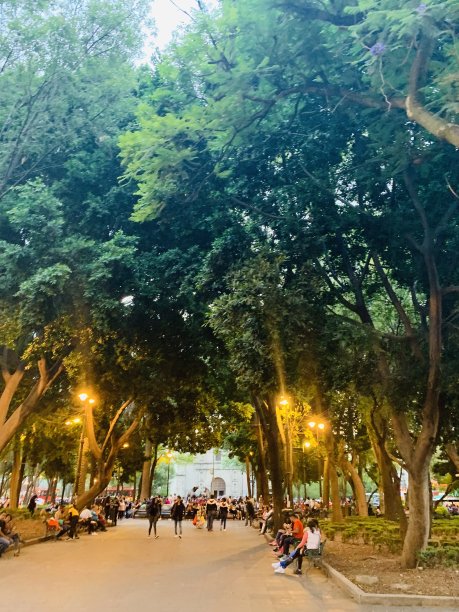 Coyoacan墨西哥图片下载