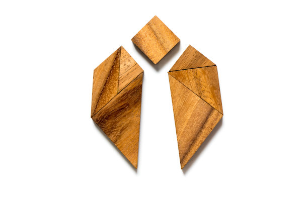 昆虫或甲虫形状的木七巧板，白色背景图片下载