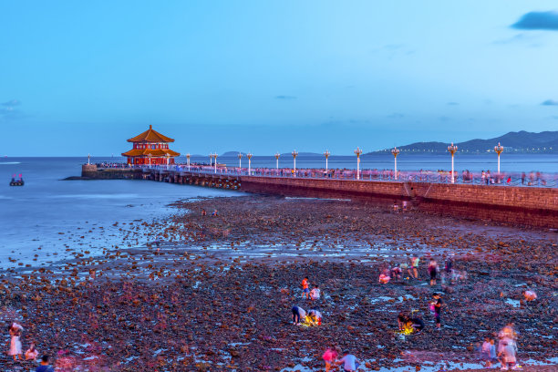 青岛美丽的海岸线和夜间城市建筑景观图片下载