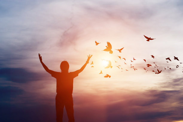 一个快乐的剪影和成功的剪影和快乐的小鸟生活在一起，剪影的概念图片下载