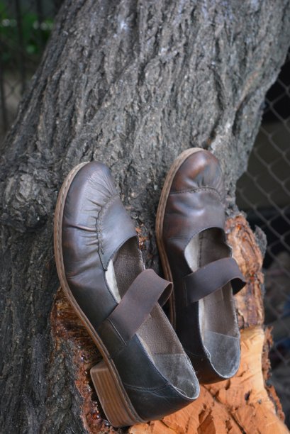 棕色的女式凉鞋，女式鞋放在树干上的一根树枝上折断了。图片下载