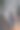 棕色的女式凉鞋，女式鞋放在树干上的一根树枝上折断了。图片下载