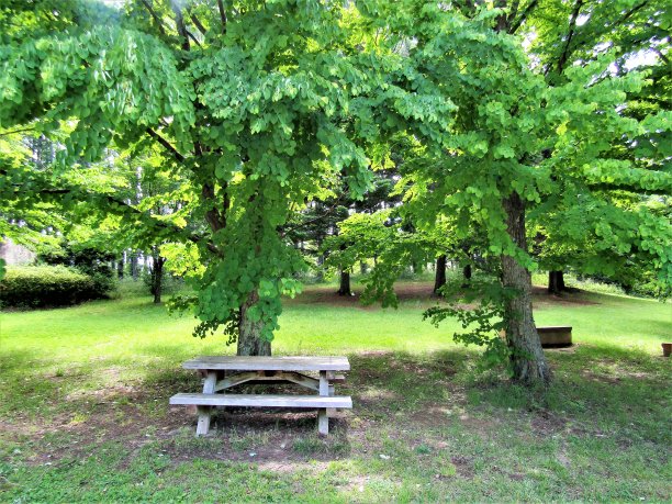 松本阿尔卑斯公园图片下载