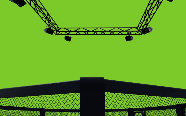 3D渲染MMA竞技场。MMA八边形的笼子里。图片下载