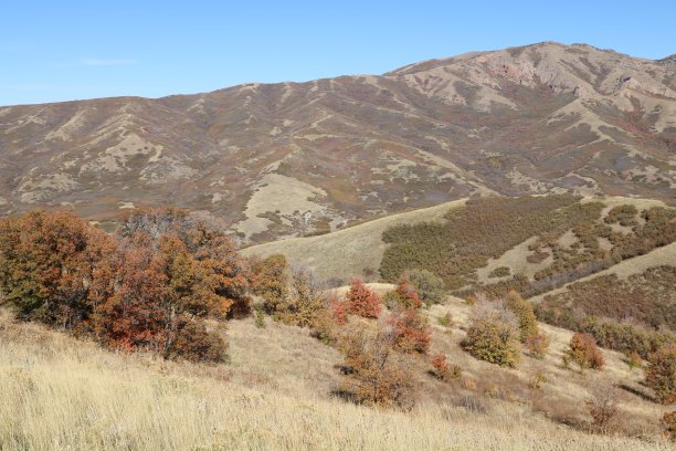十月底的瓦萨奇山麓图片下载