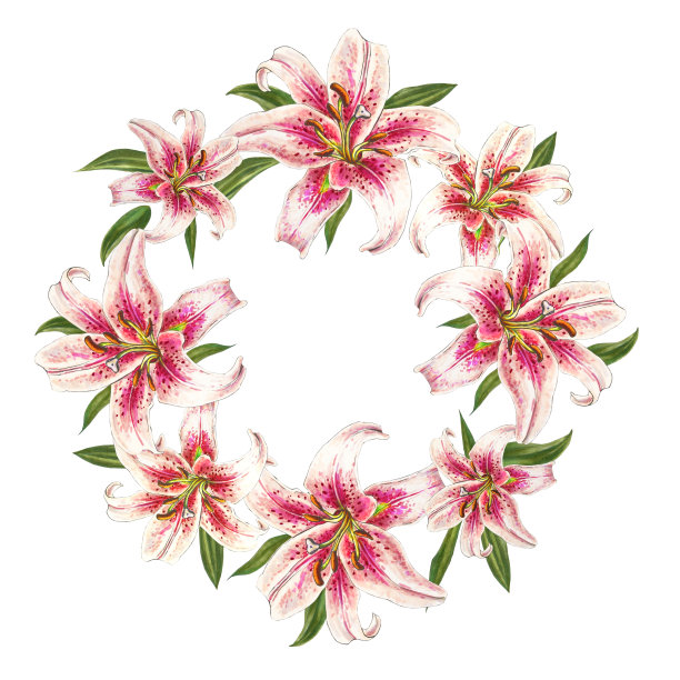 美丽的粉色百合花环。束鲜花。印花。标记图。图片下载