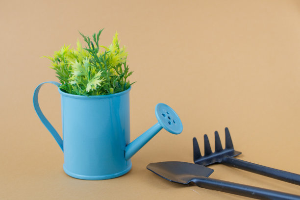 玩具浇水罐紫色蓝色与黄绿色的小枝，耙子和铲子在灰棕色的背景。文本。农业的概念。图片下载