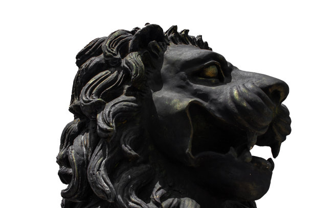 狮子王孤立在白色背景图片下载