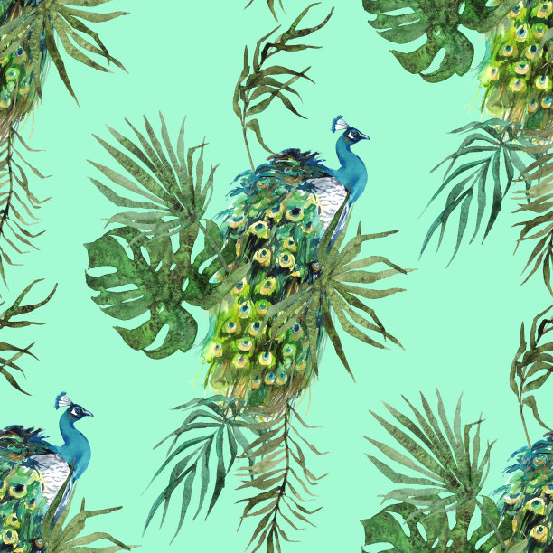 奇异鸟类无缝图案图片下载