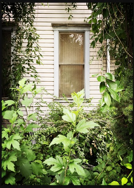 老房子的窗户图片下载