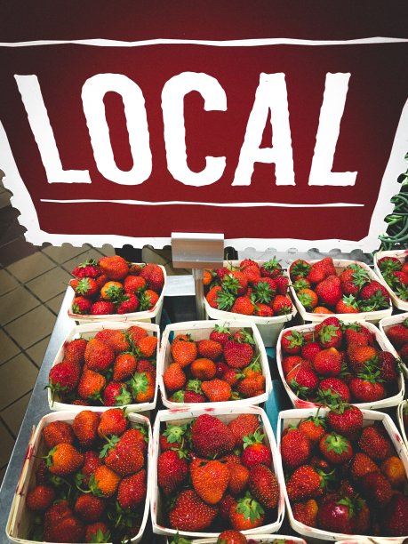 当地的浆果图片下载