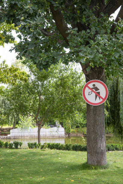 公园里不准乱扔垃圾图片下载