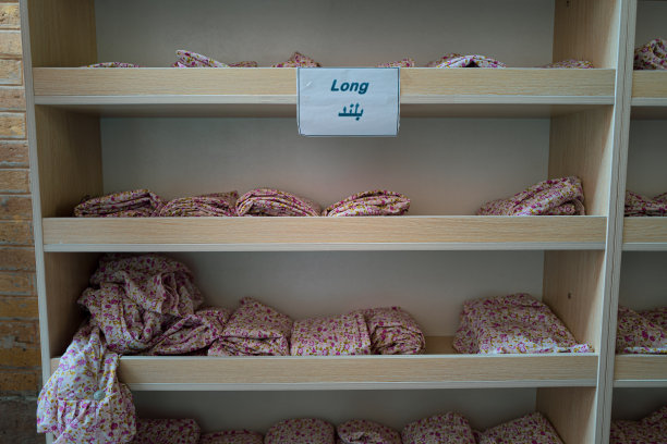 伊朗设拉子：纳西尔·奥·莫尔克清真寺图片下载