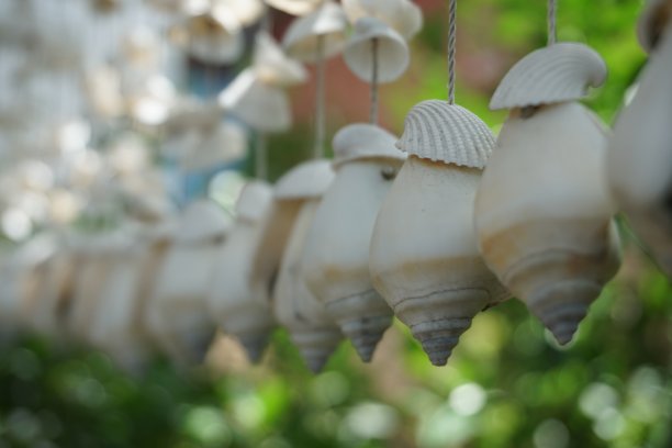 手机外壳图片下载