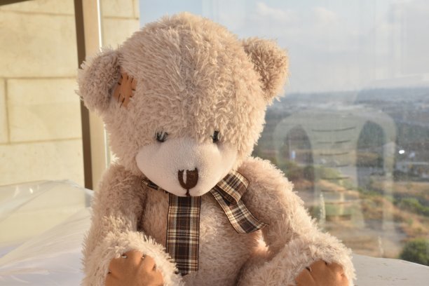 泰迪熊图片下载