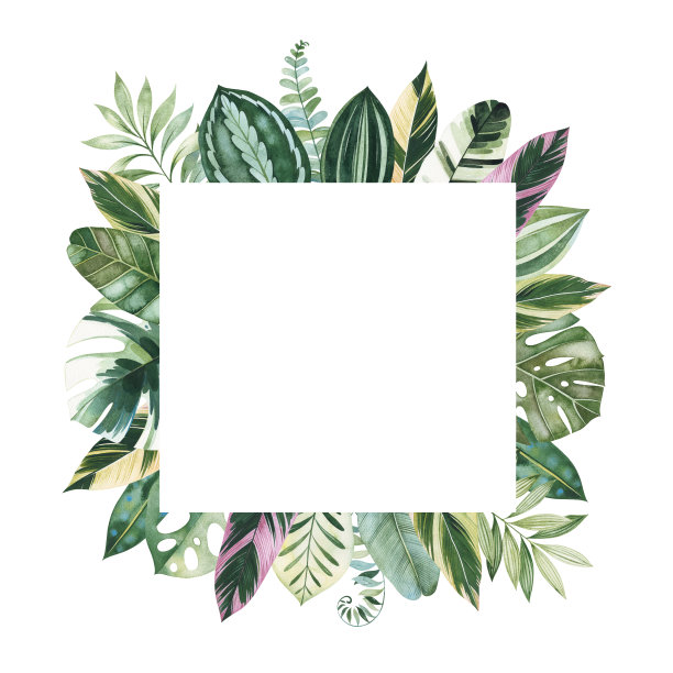 贺卡上有五颜六色的叶子，树枝，棕榈叶。图片下载