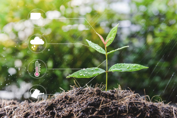 幼苗生长植物与图标浇水淋浴，肥料，温度计和雨云种植技术概念图片下载