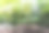 幼苗生长植物与图标浇水淋浴，肥料，温度计和雨云种植技术概念图片下载