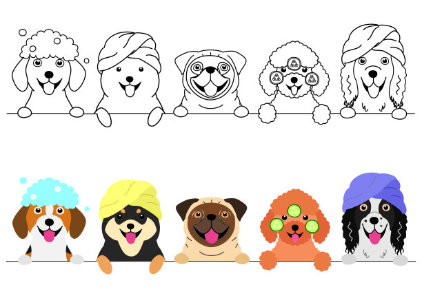 小狗们享受着连续的spa图片下载