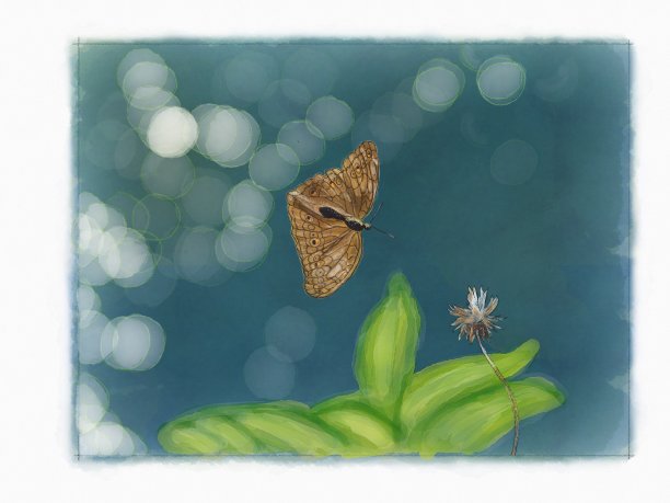 生活的对比图片下载