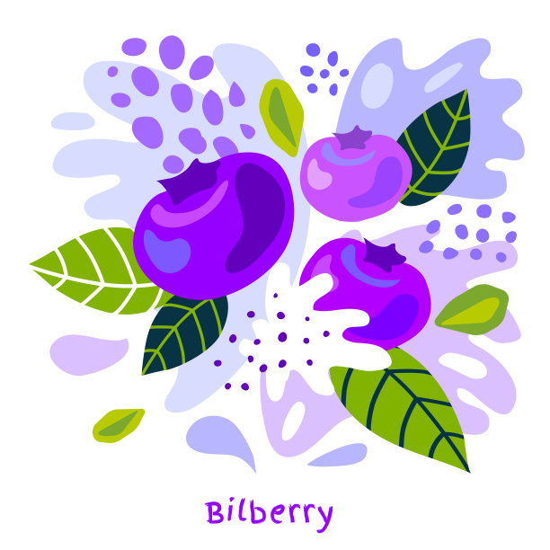 新鲜的越桔浆果浆果果汁喷溅有机食品多汁越桔喷溅在抽象的背景图片下载