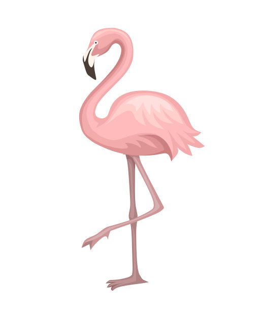 可爱的动物，桃红色的火烈鸟。卡通动物角色设计。平面矢量插图孤立在白色背景。火烈鸟单腿站立图片下载
