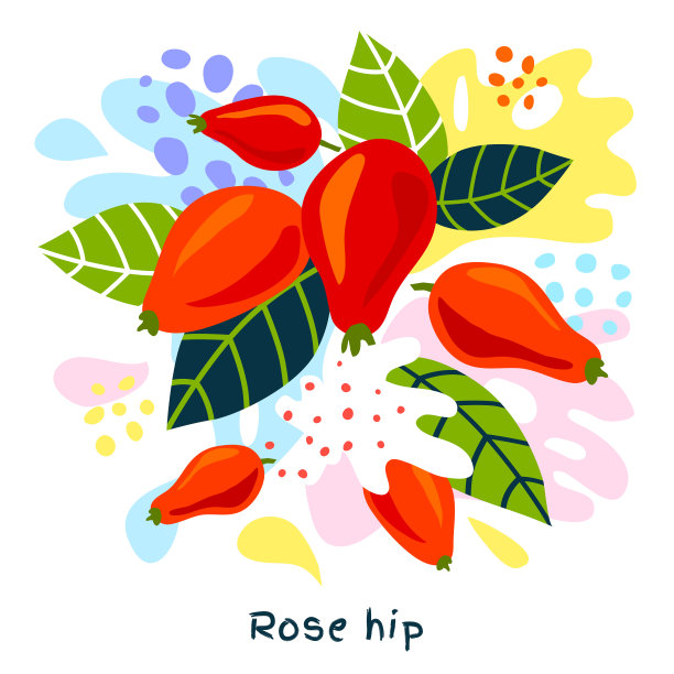 新鲜的野生玫瑰果浆果水果果汁飞溅油有机食品多汁飞溅抽象背景图片下载