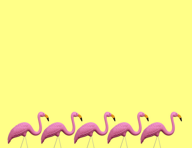 黄色背景上的粉红色火烈鸟图片下载