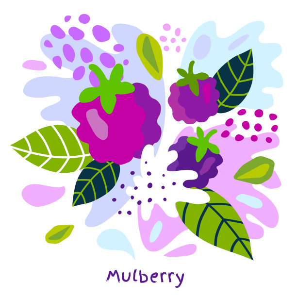 新鲜的桑葚浆果，水果汁喷溅有机食品，多汁的桑葚喷溅在抽象的背景图片下载