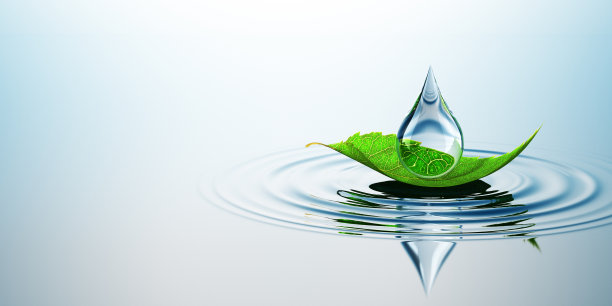 叶子与水滴的水图片下载