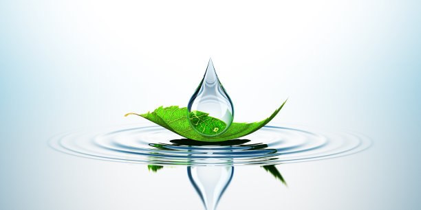 叶子与水滴的水图片下载