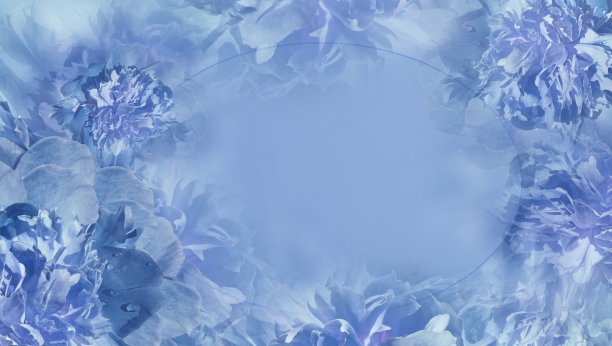 花浅蓝色背景。花朵发现花瓣蓝色松果特写。贺卡。文本。大自然。图片下载