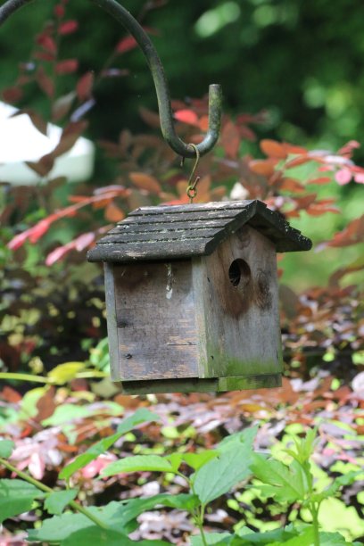 鸟屋-乡村风景图片下载
