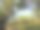 阿尔卑斯山脉公园。夏天图片下载