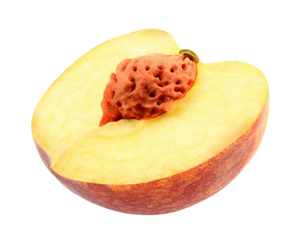 桃半切与骨孤立在白色背景与剪切路径。图片下载